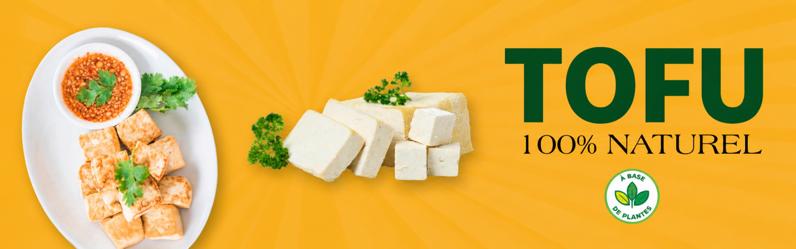 Nilwy Banner
